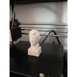 3d model of my father's bust who died in 2004