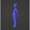 Body 3d Female base di un characters femminile