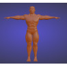 Malla base de hombre. Modelo 3d de personaje masculino