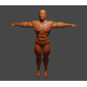 Malla base de hombre. Modelo 3d de personaje masculino