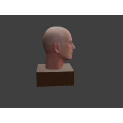 Captain Picard Star Trek 3D-Modell