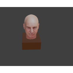 Capitano Picard  Star Trek modello 3d