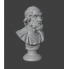 Homer Bust 3d : Father of Greek Literature 3d print