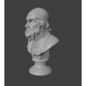 Homer Bust 3d : Father of Greek Literature 3d print