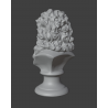 Bust of Isaac Newton: 3D Model for 3D Printing