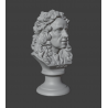 Bust of Isaac Newton: 3D Model for 3D Printing