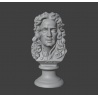 Bust of Isaac Newton: 3D Model for 3D Printing