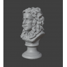 Bust of Isaac Newton: 3D Model for 3D Printing