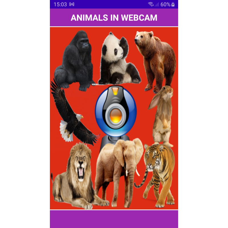 Animals in WebCam