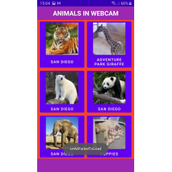 Animals in WebCam