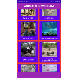 Animals in WebCam