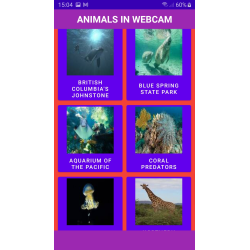 Animals in WebCam